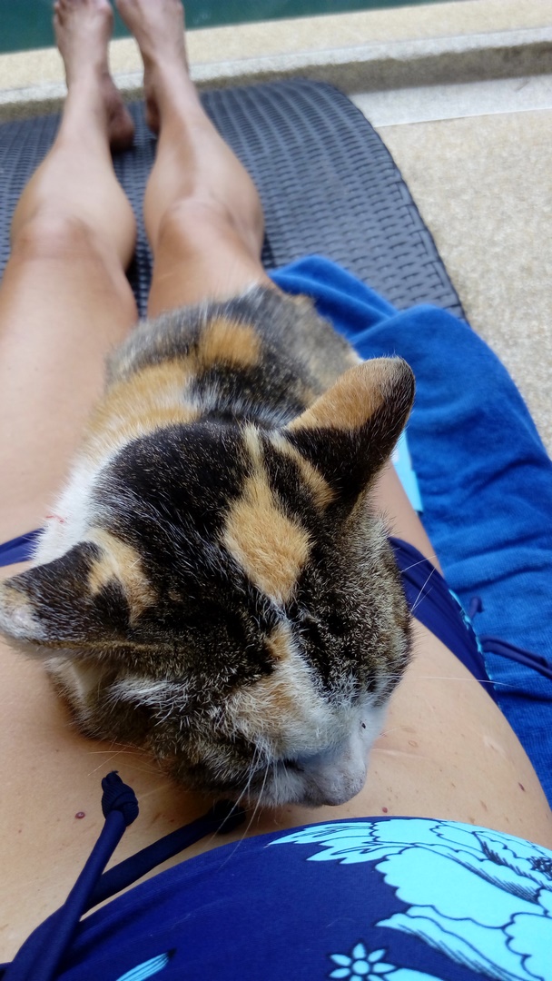 IMG_20171129_152325 (Kopiowanie)